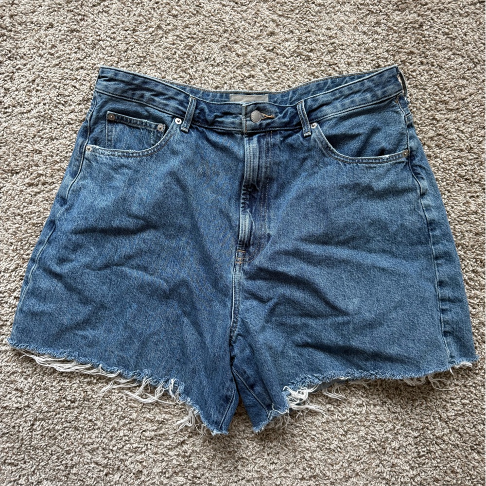 A-Line Everlane Denim Short sz 33